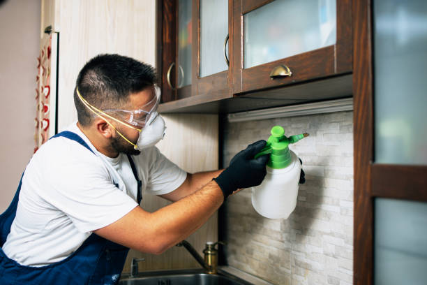 Best Affordable Pest Control Services  in Sky Valley, CA