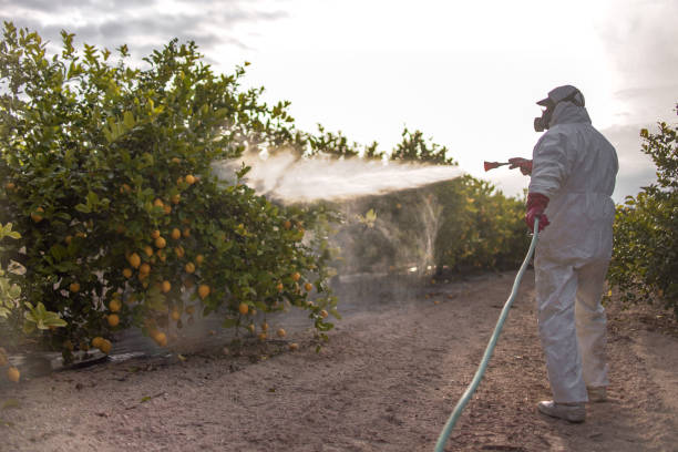 Best Best Pest Control Companies  in Sky Valley, CA