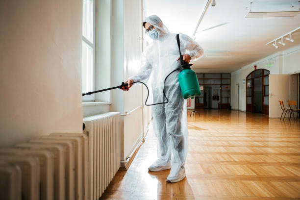 Best Residential Pest Control  in Sky Valley, CA